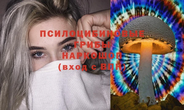 эйфоретик Нефтекумск