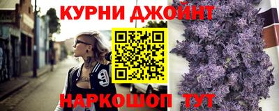 индика Пенза