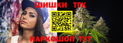 индика Пенза