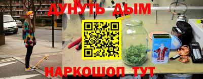 индика Пенза