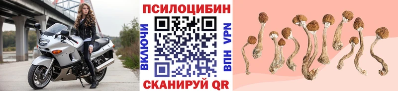 Псилоцибиновые грибы ЛСД  продажа наркотиков  Тулун 