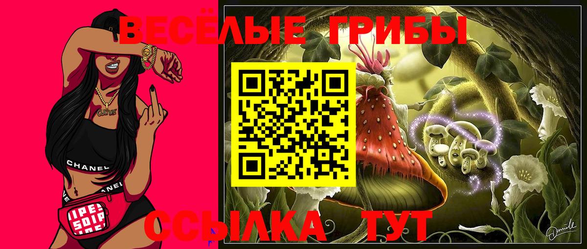 что такое наркотик  Вход с VPN  Тулун  Псилоцибиновые грибы мицелий  Псилоцибиновые грибы Magic Shrooms 