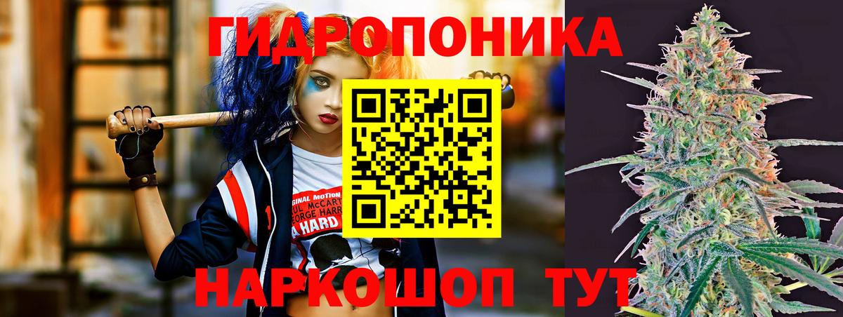 Бошки марихуана OG Kush Тулун